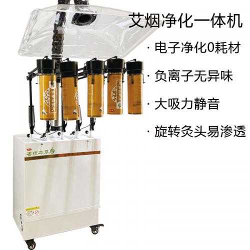 艾灸无烟电子净化一体机